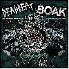 DEADBEAT / BOAK "Split"