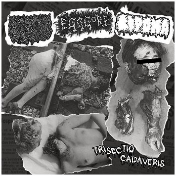 LIQUID VISCERA / EGGGORE / LIPOMA 3way