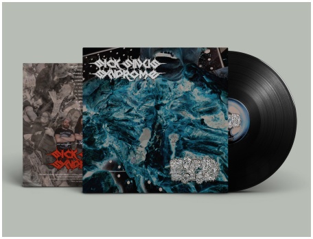 SICK SINUS SYNDROME / EAT THE DECAY split LP (black) PREORDER