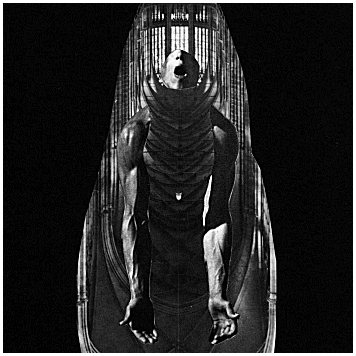 AMERICAN \"Violate and control\"