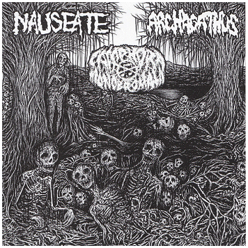 NAUSEATE / CAMPHORA MONOBROMATA / ARCHAGATHUS "3-way"