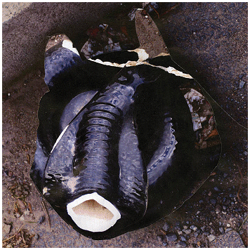 BILLY BAO \"Communisation\"