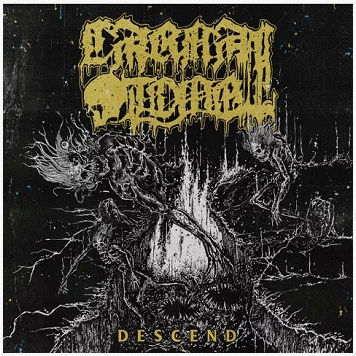 CARNAL TOMB "Descend"