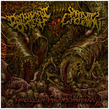 DISFIGURMENT OF FLESH / PARASITIC EJACULATION \"Split\"