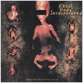 FECAL BODY INCORPORATED/COCKLUSH/TEEN PUSSY FUCKERS \"Split\"