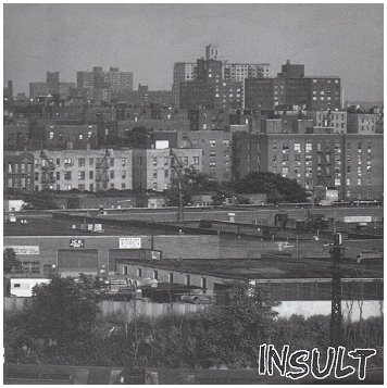 INSULT \"s/t\"