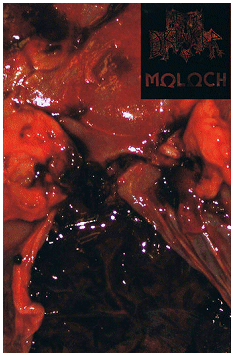 METH DRINKER / MOLOCH \"Split\"