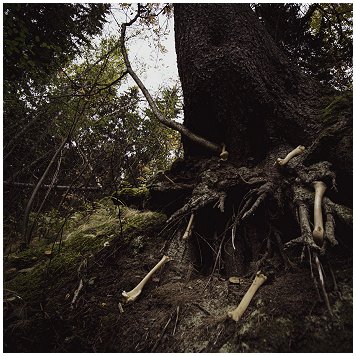 MISANTROPICAL PAINFOREST / W.A.I.L. \"Split\" [US IMPORT!]