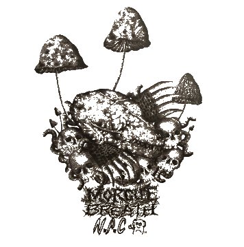 MORGUE BREATH / NAMPLA-CHANG \"Split\"