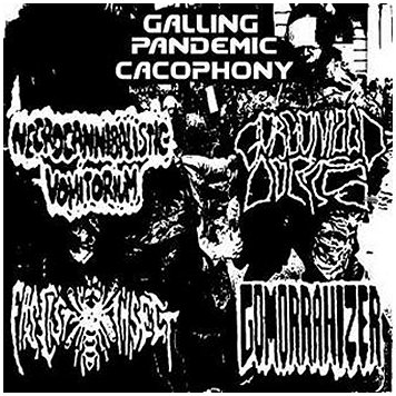 V.A. \"GALLING PANDEMIC CACOPHONY\"