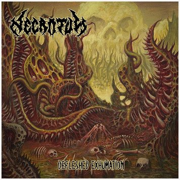 NECROTUM \"Defleshed exhumation\"