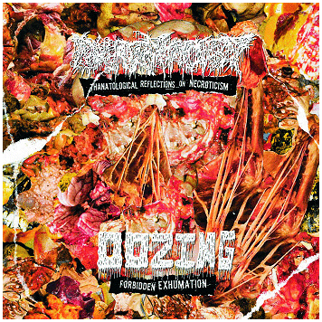 PHARMACIST / OOZING \"Split\"