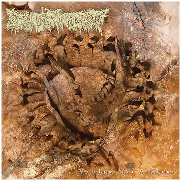 PHARMACIST \"Vertebrae after vertebrae\" [US IMPORT!]