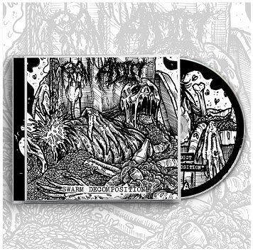 RAW ADDICT \"Swarm decomposition\"