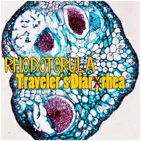 RHODOTORULA \"Traveler\'s diar(y)rhea\" demo