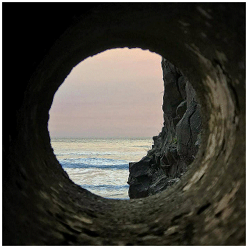 RUMINANT \"Domicile unknown\"