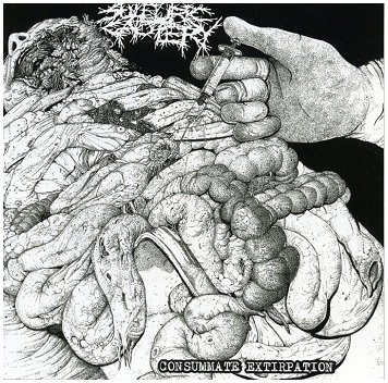 SULFURIC CAUTERY \"Consummate extirpation\" [JAPAN IMPORT!]