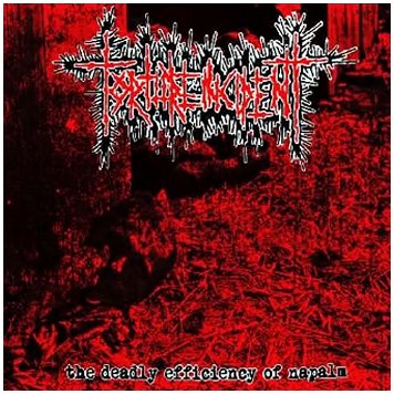 TORTURE INCIDENT \"The deadly efficiency of napalm\" [MARBLED VINYL, IMPORT!]