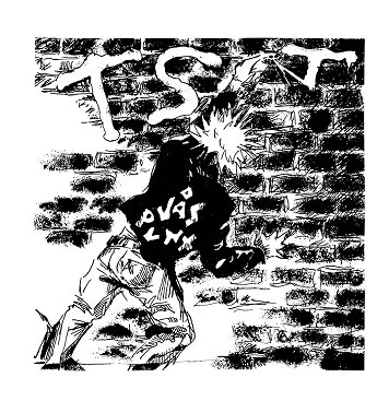 T.S.T. \"Vås punx\"