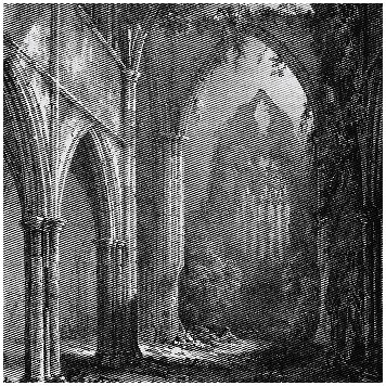 WEATHERED CREST \"Blossoming of the paths\"