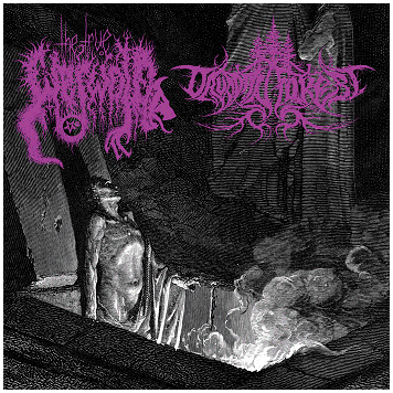 THE TRUE WERWOLF / DRUADAN FOREST \"Split\"