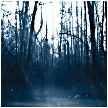 WEEKEND NACHOS \"Still\"