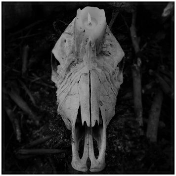 WORSEN \"Cursed to witness life\"