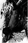 SETE STAR SEPT / SPASTIC BURN VICTIM \"Split\"