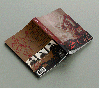 ABORT:pezzi di vetro schizzi di sangue (book) softcover