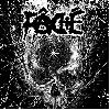 FÂCHÉ "Split & EP 2021 / 2024"