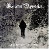 NOCTURNAL DEPRESSION "Four seasons to a depression"
