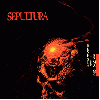 SEPULTURA "Beneath the remains"