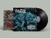 SICK SINUS SYNDROME / EAT THE DECAY split LP (black) PREORDER