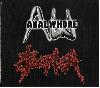 ANAL WHORE / PROCTALGIA "Split"