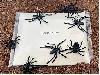 BATHROOM SPIDER "s/t"