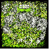 BLUE HOLOCAUST / HOUKAGO GRIND TIME "Split" [US IMPORT, NEON GREEN EP!]