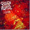 CAPSAICIN STITCH RUPTURE "Post CPS ingestion disastrous processes in digestive tract"