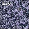 CORRUPT MORAL ALTAR "Mechanical tides"