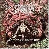 DEMIGOD "Slumber of sullen eyes"