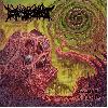 DISEMBODIMENT "Spiral crypts"