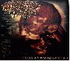 DISGORGED FOETUS "Years of goremageddon" [MEXICO IMPORT!]
