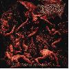 DISGRACING "Descension into despair"