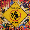 D.R.I. "Thrash zone" [RARE 1st PRESS!]