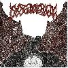 DYSEMBLEM "Buried by the weight of light"