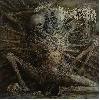 FOSSILIZATION "Advent of wounds"