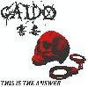 GAIDO "This is the answer" [IMPORT!]
