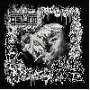 GSTURM / TERRAIN VAGUE "Split"