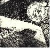 FLOWER "Heel of the next / Physical god"