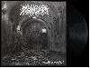 IMMORTAL FATE "Beautiful" [US IMPORT!]