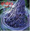 INHUMATE "Growth"